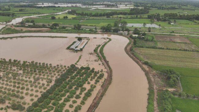 ชาวนาอื่น ! มวลน้ำ ทำนาข้าวจมเสียหาย3 พันกว่าไร่