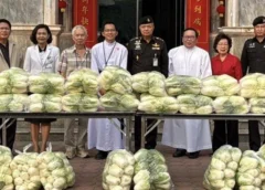 พิษณุโลก กองบัญชาการช่วยรบที่ 3 (บชร.3) จังหวัดพิษณุโลก รับมอบผักกาดขาว