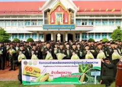 กองทัพภาคที่ 3 ช่วยเหลือเกษตรกร แจกจ่ายข้าวโพดหวานให้กำลังพล สนับสนุนผลผลิตทางการเกษตรในพื้นที่จังหวัดพิษณุโลก