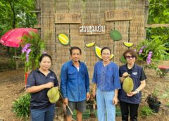 พาณิชย์แพร่!!!จับมือเกษตรจังหวัด ลงพื้นที่เข้มงวดมาตรการป้องกันตัดทุเรียนอ่อน