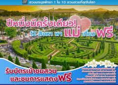 ปีหนึ่งมีครั้งเดียว! 12 สิงหาคม แม่เข้าฟรี สวนนงนุชพัทยา มอบของขวัญวันแม่แห่งชาติ แทนคำว่ารัก ชวนลูกพาแม่เที่ยว