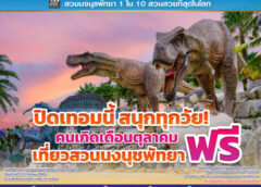 สวนนงนุชพัทยาชวนเที่ยวปิดเทอม “สนุกทุกวัย เที่ยวได้ทั้งครอบครัว” คนเกิดเดือนตุลาคมเข้าฟรีตลอดเดือน