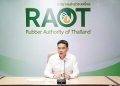 🙌🏻👨🏻‍💻 กยท. เดินหน้า วางกลยุทธ์ดูแลชาวสวนยางฝ่าอุทกภัย เร่งช่วยเหลือ–เยียวยา–ฟื้นฟู 🌳🍃